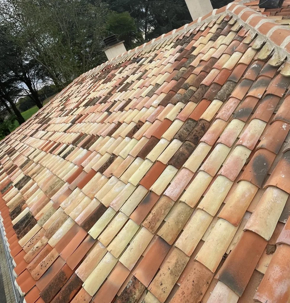 Souchere demoussage ap