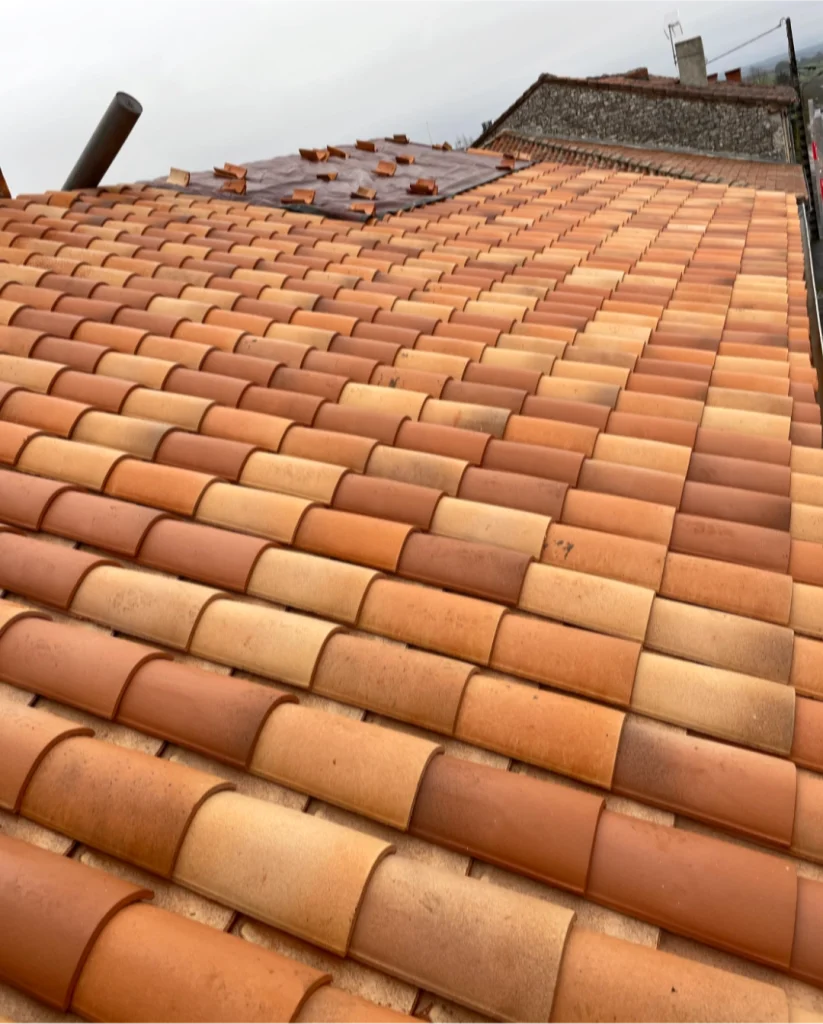 Remanimen de toiture