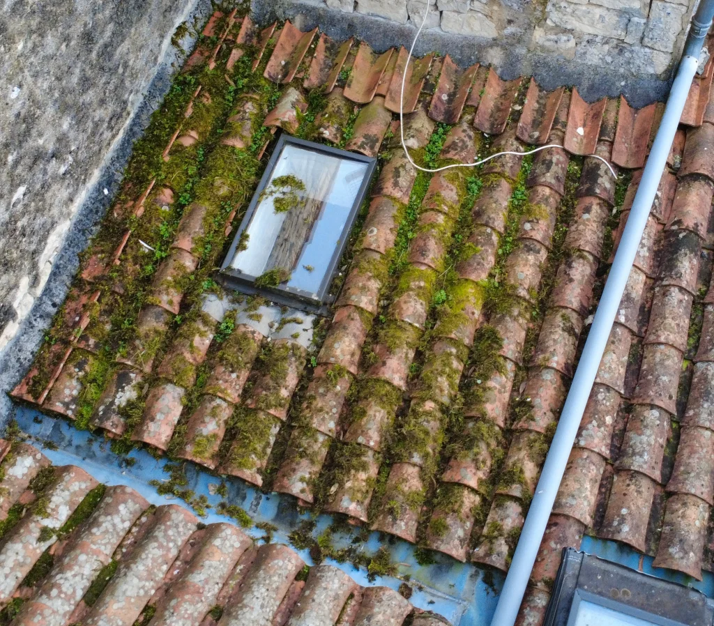 dorne fenetre de toit